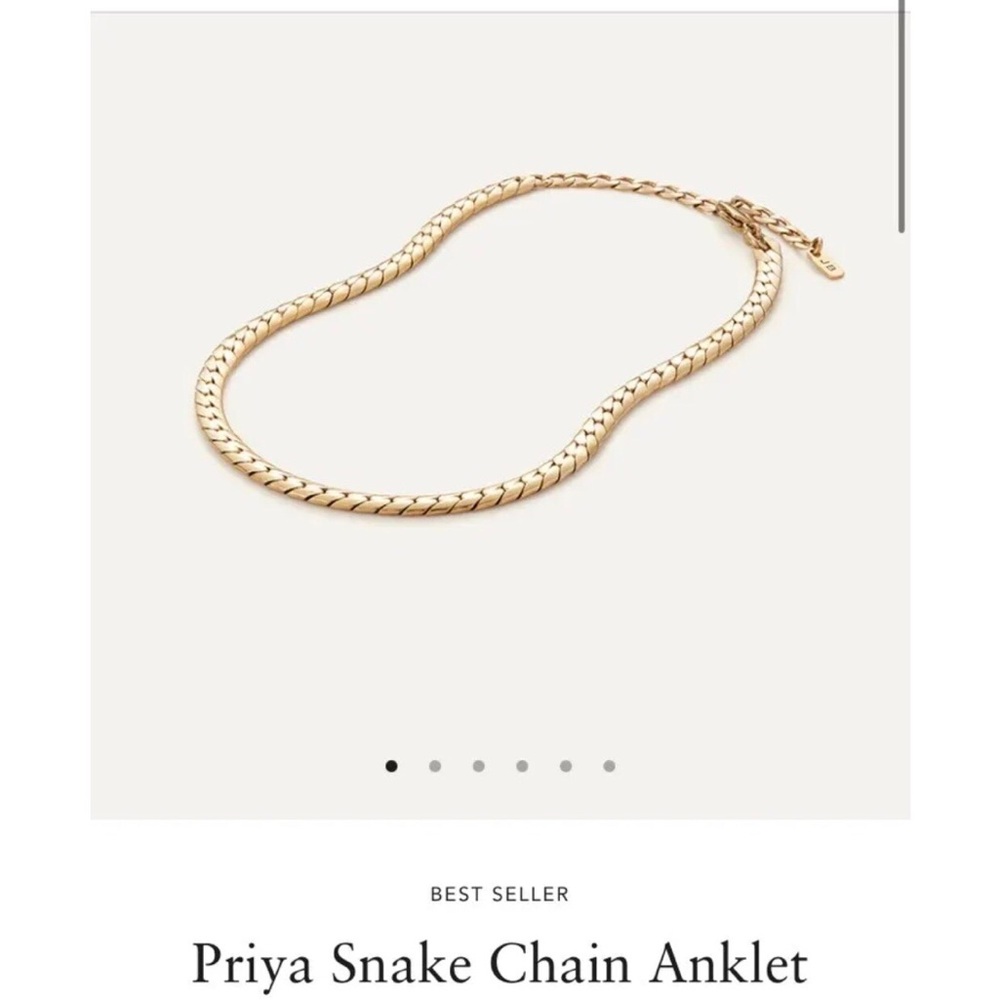 Jenny Bird Priya Anklet Ankle Bracelet Snake Chain
